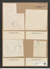 Cystopleura cistula var. lunaris Grun. (de-Toni-Nr.: Genus 103, Species 36/3141) Zeichnungen Sammlung Grunow Nr. 6430 (NHMW-BOT-W0375113)